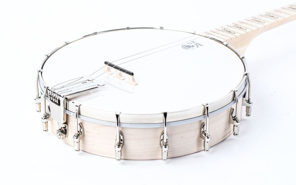 Deering Goodtime 19-Fret Tenor Banjo-12.jpg