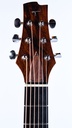 Thomas SJ50C Madagascar Rosewood Recent-4.jpg