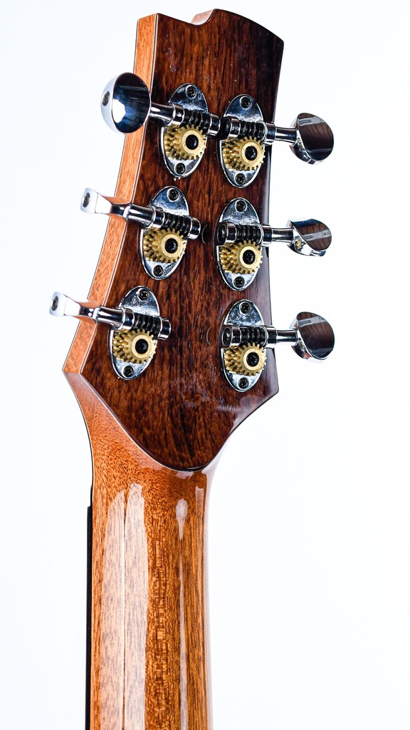Thomas SJ50C Madagascar Rosewood Recent-5.jpg