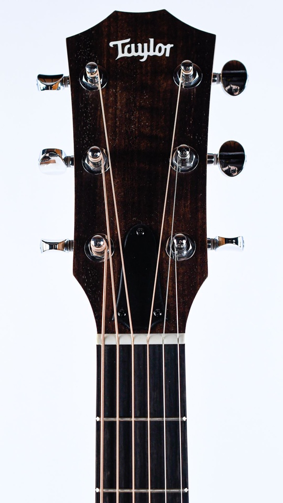 Taylor 14ce-4.jpg