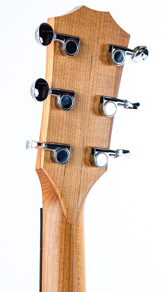 Taylor 14ce-5.jpg