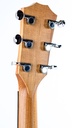 Taylor 14ce-5.jpg