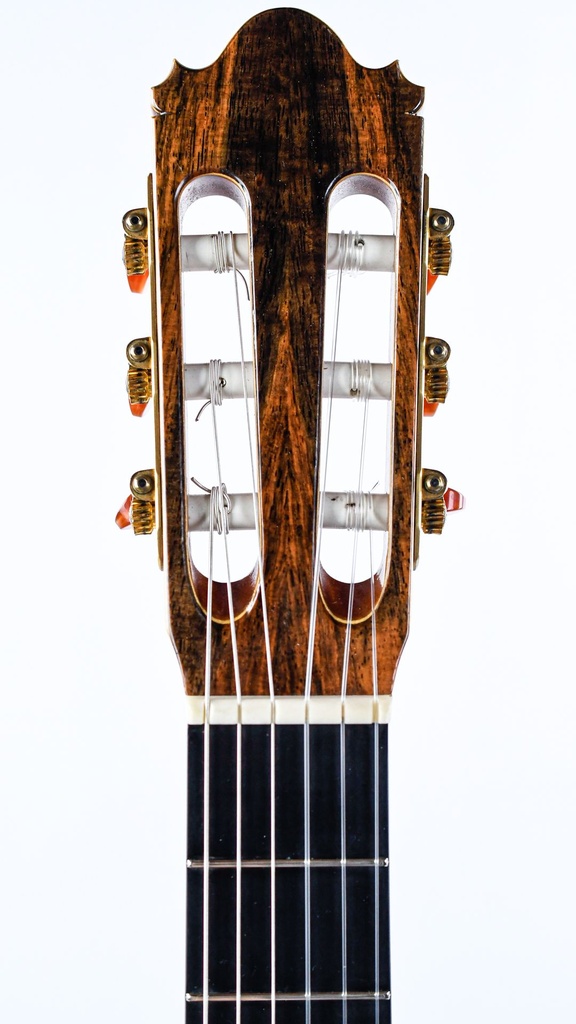 Michael Götz 1A Concert Classical 2006-4.jpg