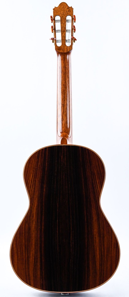 Michael Götz 1A Concert Classical 2006-7.jpg