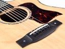 [1266] Del Langejans M6 DLX Cut Mahogany Spruce 2005v-10.jpg