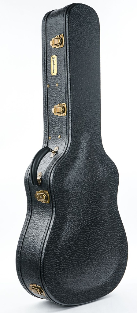 Eastman E10 Hardcase-8.jpg