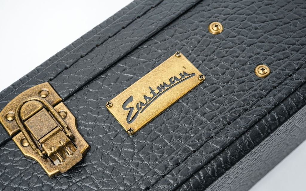 Eastman E10 Hardcase-3.jpg