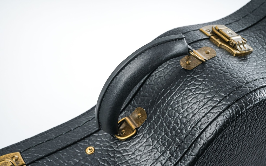 Eastman E10 Hardcase-4.jpg