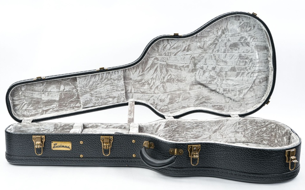 Eastman E10 Hardcase-1.jpg