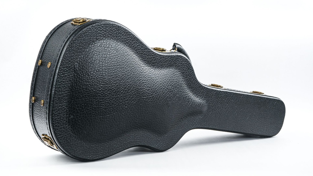 Eastman E10 Hardcase-6.jpg