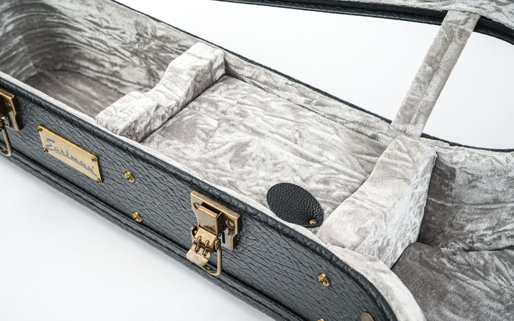 Eastman E10 Hardcase-2.jpg