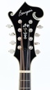 Bourgeois M5F Blacktop F Style Mandolin-4.jpg