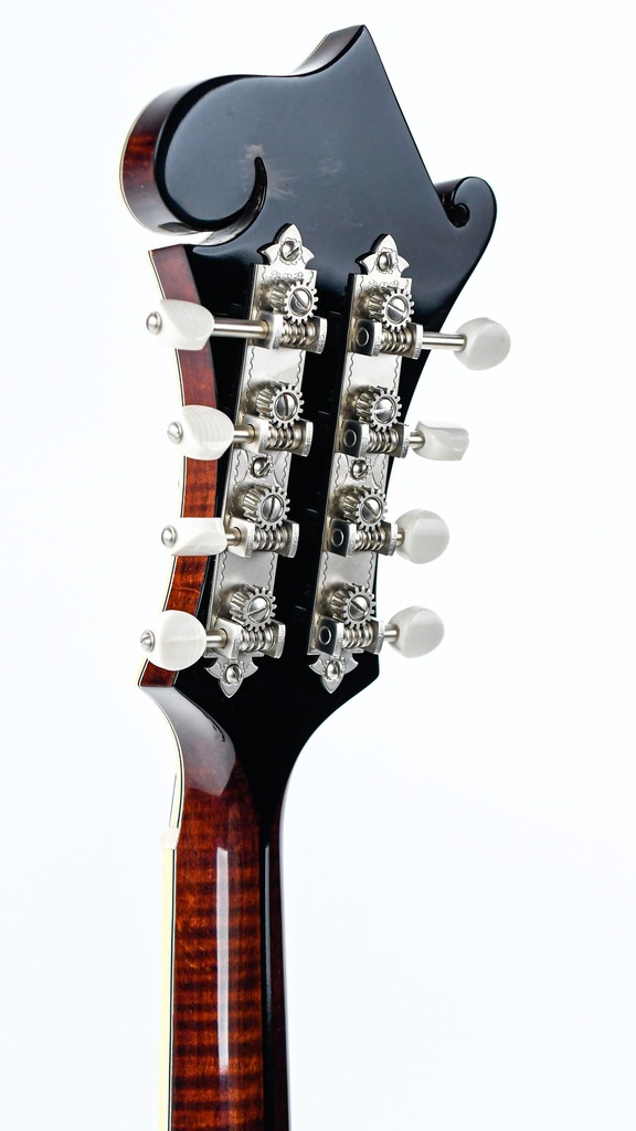 Bourgeois M5F Blacktop F Style Mandolin-5.jpg