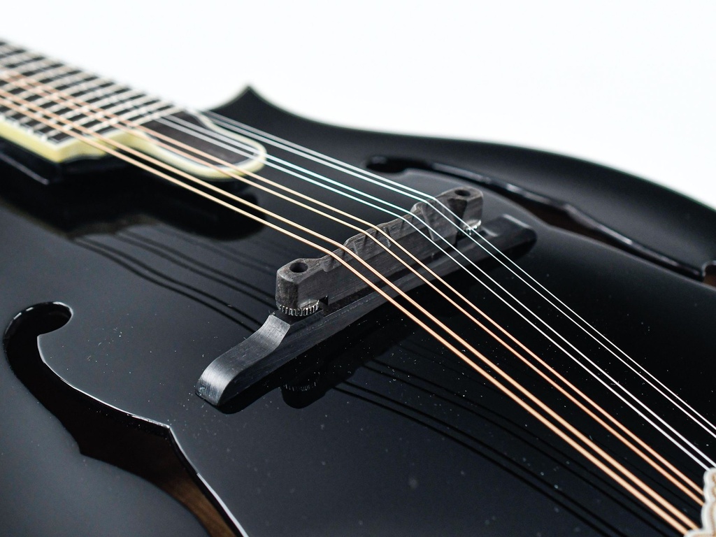 Bourgeois M5F Blacktop F Style Mandolin-10.jpg