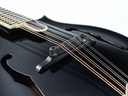 Bourgeois M5F Blacktop F Style Mandolin-10.jpg
