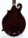 Bourgeois M5F Blacktop F Style Mandolin-6.jpg