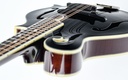 Bourgeois M5F Blacktop F Style Mandolin-8.jpg