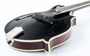 Bourgeois M5F Blacktop F Style Mandolin-11.jpg