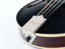 Bourgeois M5F Blacktop F Style Mandolin-12.jpg