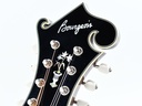 Bourgeois M5F Blacktop F Style Mandolin-13.jpg