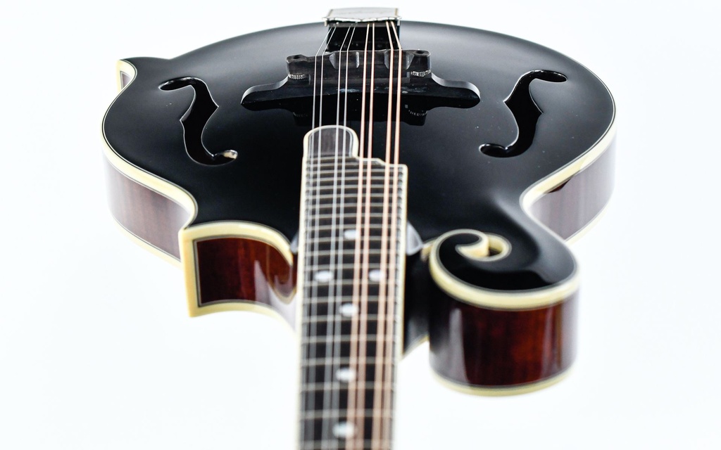 Bourgeois M5F Blacktop F Style Mandolin-14.jpg