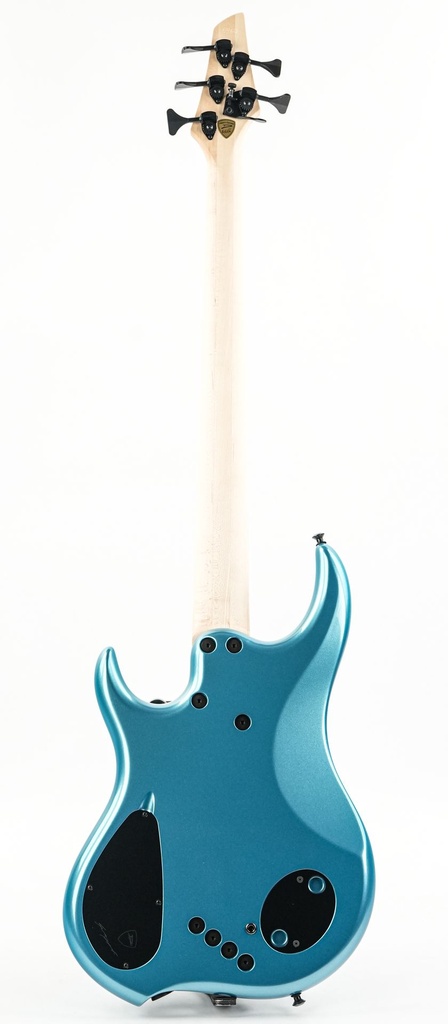 Dingwall Lee Sklar Signature 5-string-7.jpg