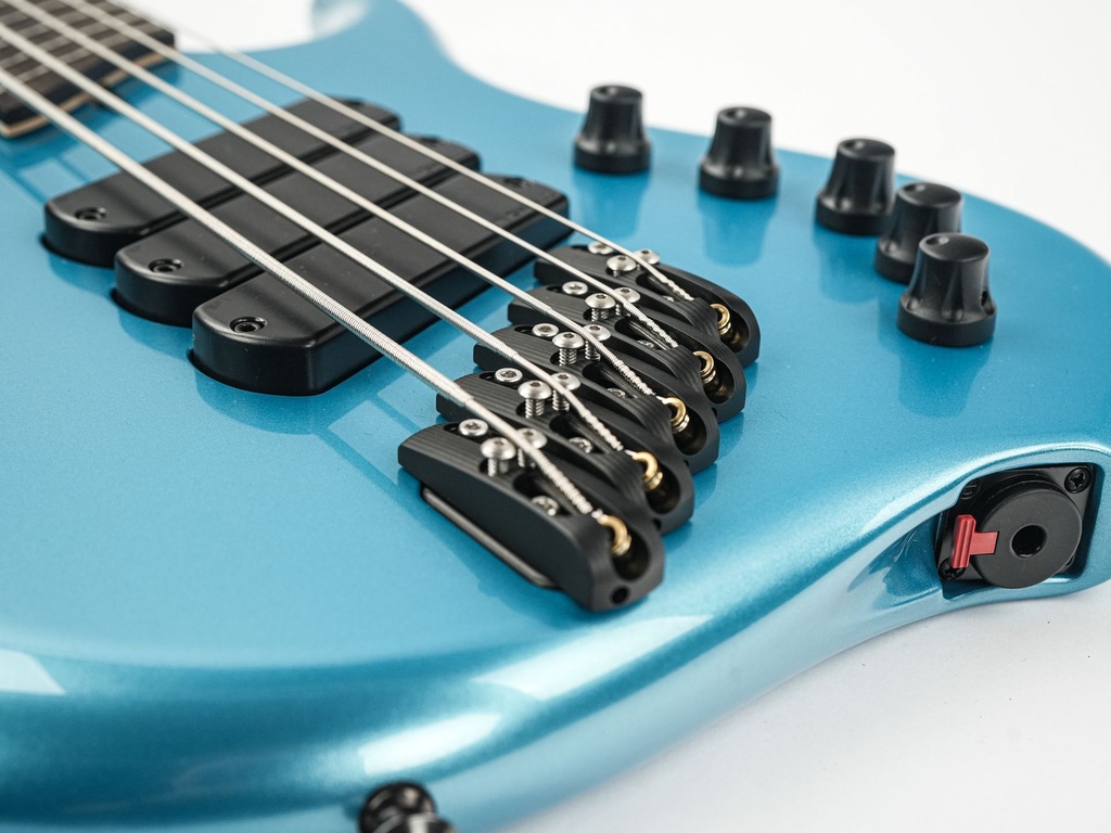 Dingwall Lee Sklar Signature 5-string-10.jpg