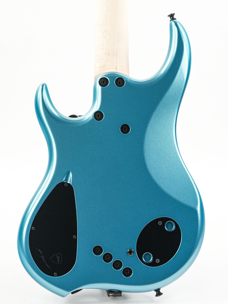 Dingwall Lee Sklar Signature 5-string-6.jpg