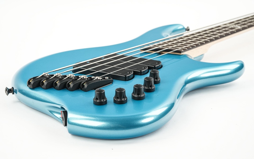 Dingwall Lee Sklar Signature 5-string-11.jpg