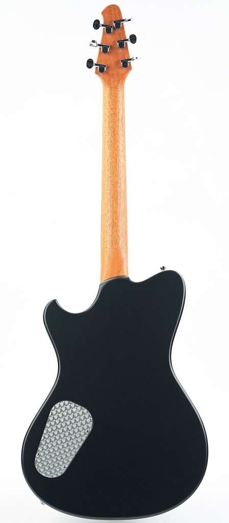 Powers Electric A Type Desert Dawn-7.jpg