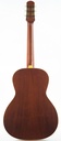 Iris MS00 Adirondack Spruce Mahogany Argentine Grey Burst-7.jpg