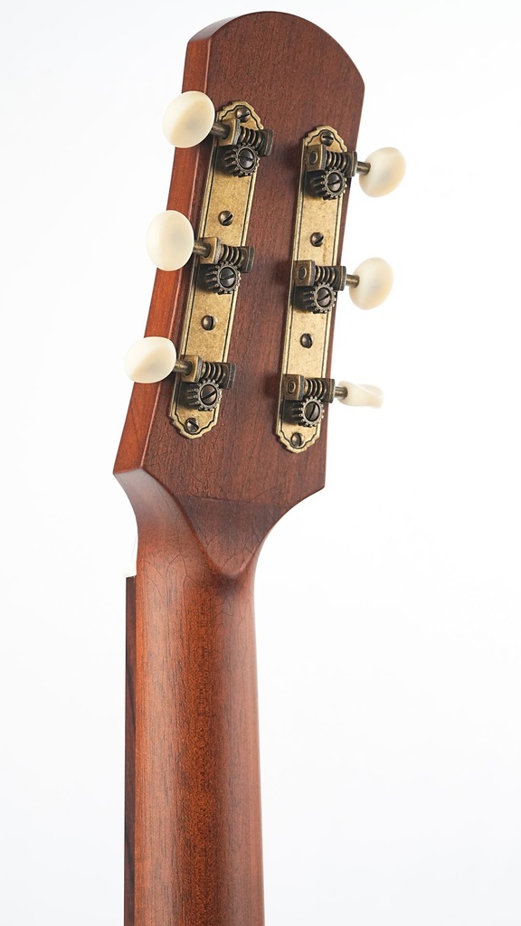 Iris MS00 Adirondack Spruce Mahogany Argentine Grey Burst-5.jpg