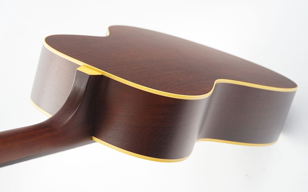 Iris MS00 Adirondack Spruce Mahogany Argentine Grey Burst-9.jpg