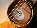 Iris MS00 Adirondack Spruce Mahogany Argentine Grey Burst-11.jpg