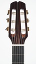 Mach Crossover Spruce Rosewood Bevel-5.jpg