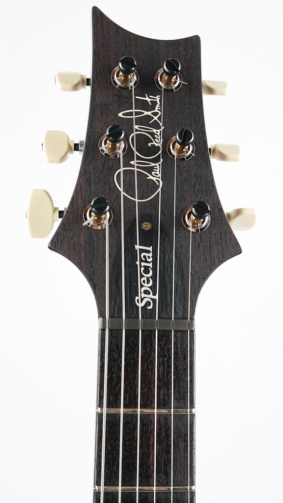 PRS Special 22 Semi Hollow 10 Top Faded Whale Blue-4.jpg