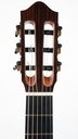 Sergei de Jonge Nylon Crossover Indian Rosewood Adirondack 2023-4.jpg