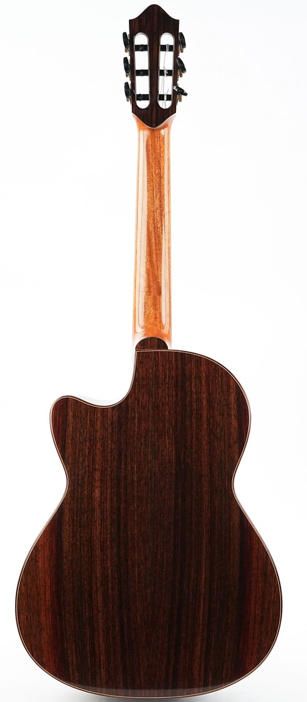 Sergei de Jonge Nylon Crossover Indian Rosewood Adirondack 2023-7.jpg