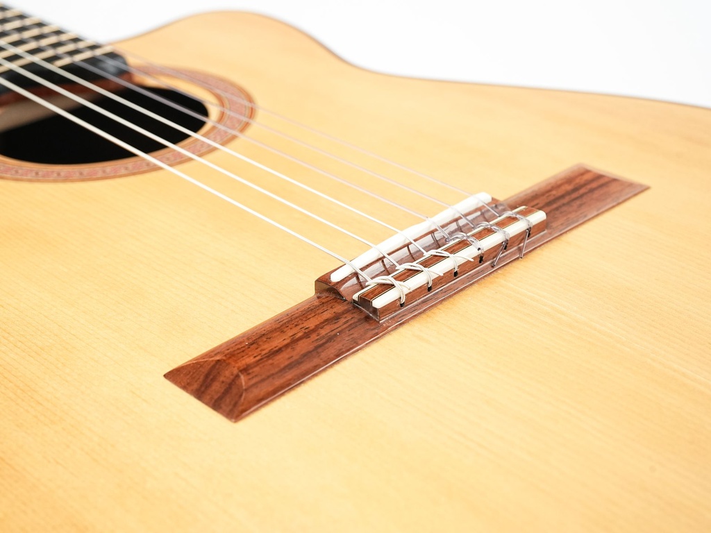 Sergei de Jonge Nylon Crossover Indian Rosewood Adirondack 2023-10.jpg