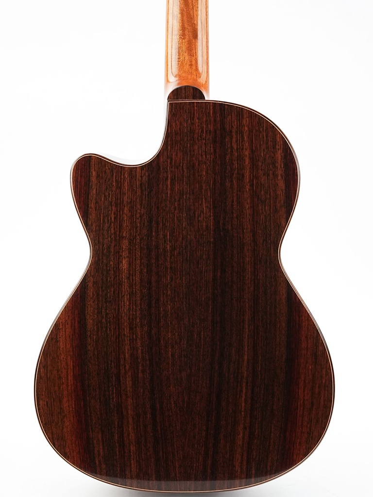 Sergei de Jonge Nylon Crossover Indian Rosewood Adirondack 2023-6.jpg