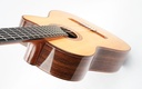 Sergei de Jonge Nylon Crossover Indian Rosewood Adirondack 2023-8.jpg