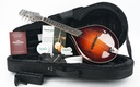 Bulas A-Style Artemis Mandolin-1.jpg