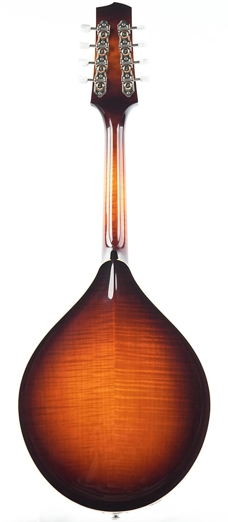 Bulas A-Style Artemis Mandolin-7.jpg