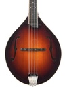 Bulas A-Style Artemis Mandolin-3.jpg
