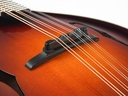 Bulas A-Style Artemis Mandolin-10.jpg