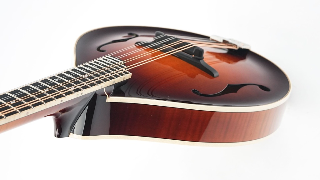 Bulas A-Style Artemis Mandolin-8.jpg