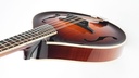 Bulas A-Style Artemis Mandolin-8.jpg