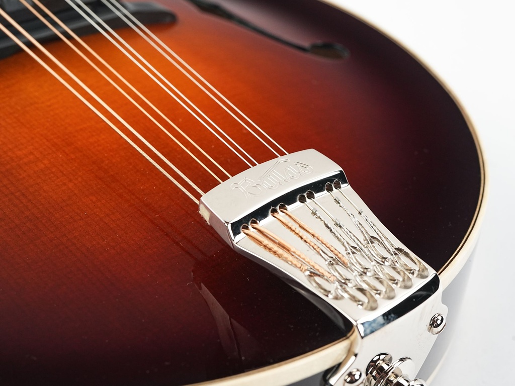 Bulas A-Style Artemis Mandolin-11.jpg