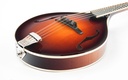 Bulas A-Style Artemis Mandolin-13.jpg