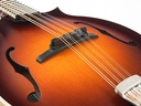 Bulas F-Style Standard Mandolin-10.jpg